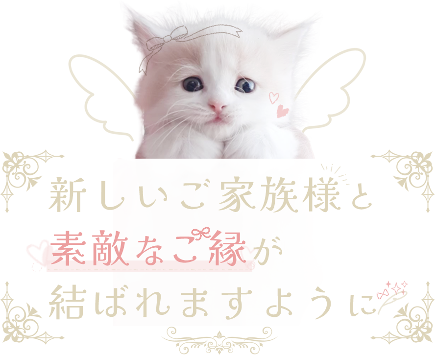 新しいご家族様と素敵なご縁が結ばれますように