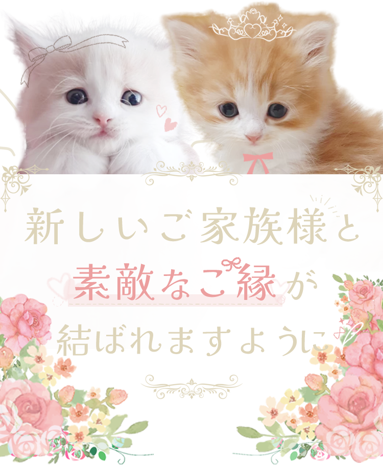 新しいご家族様と素敵なご縁が結ばれますように