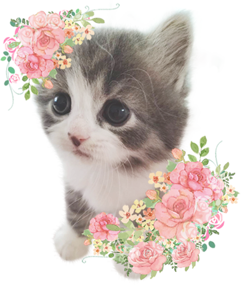 プロフィール