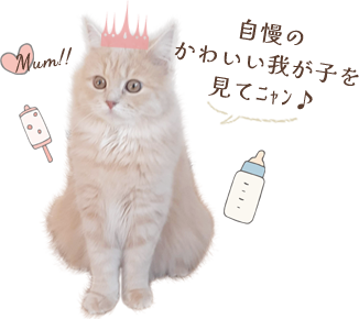 自慢のかわいい我が子を見てﾆｬﾝ♪