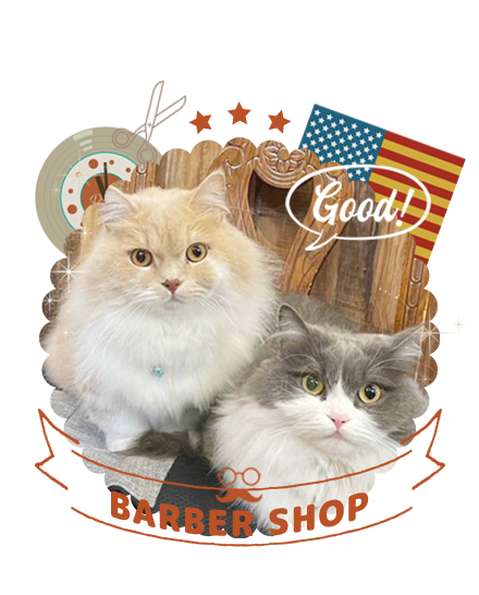 BARBER SHOP