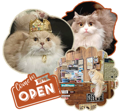OPEN