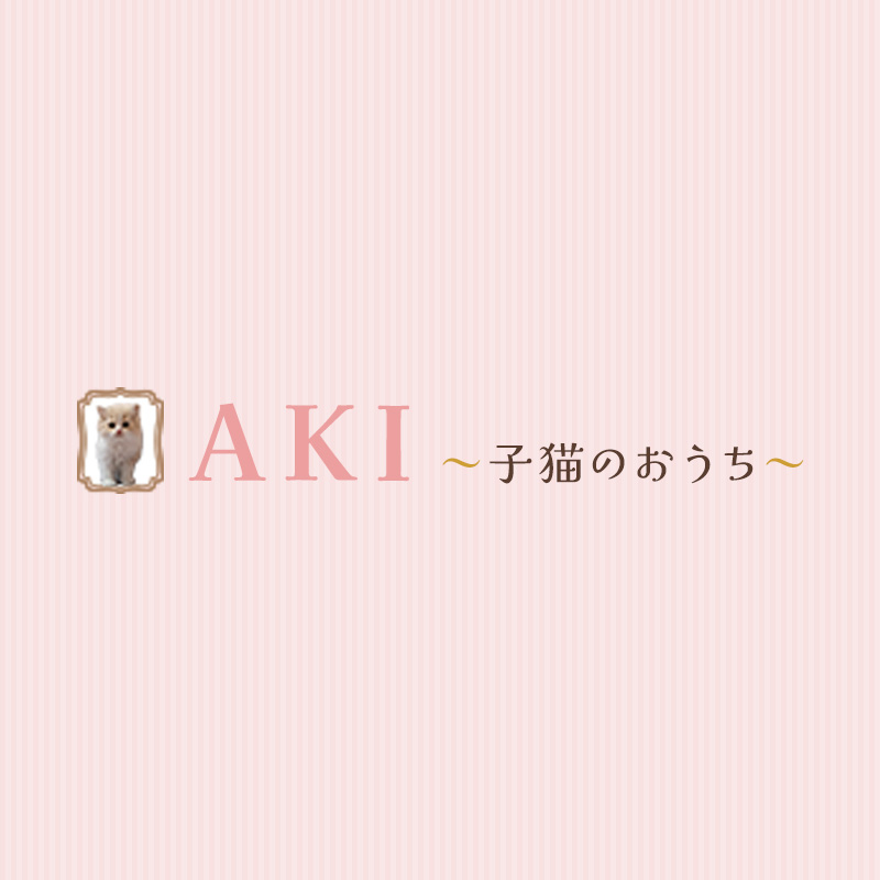 お問合せ方法について✉️📞 | AKI ～子猫のおうち～